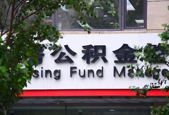 南京公积金离职封存是什么意思（公积金 离职 封存）